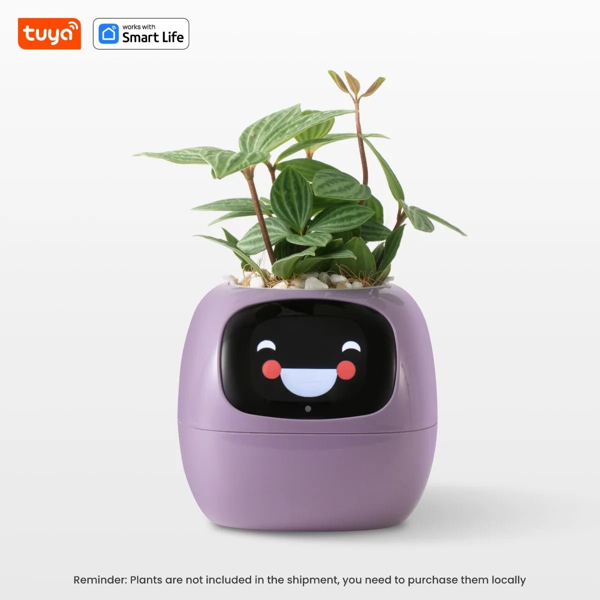 Tuya Ivy Smart Planter - AI - DEN Store