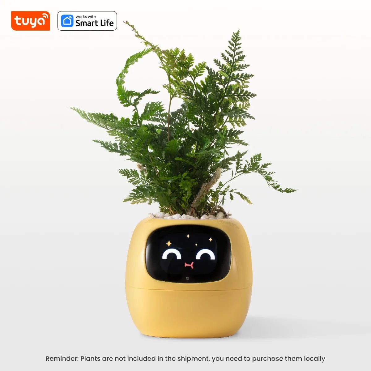 Tuya Ivy Smart Planter - AI - DEN Store