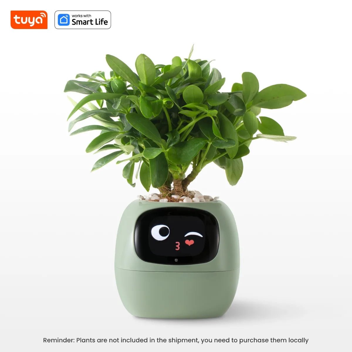Tuya Ivy Smart Planter - AI - DEN Store