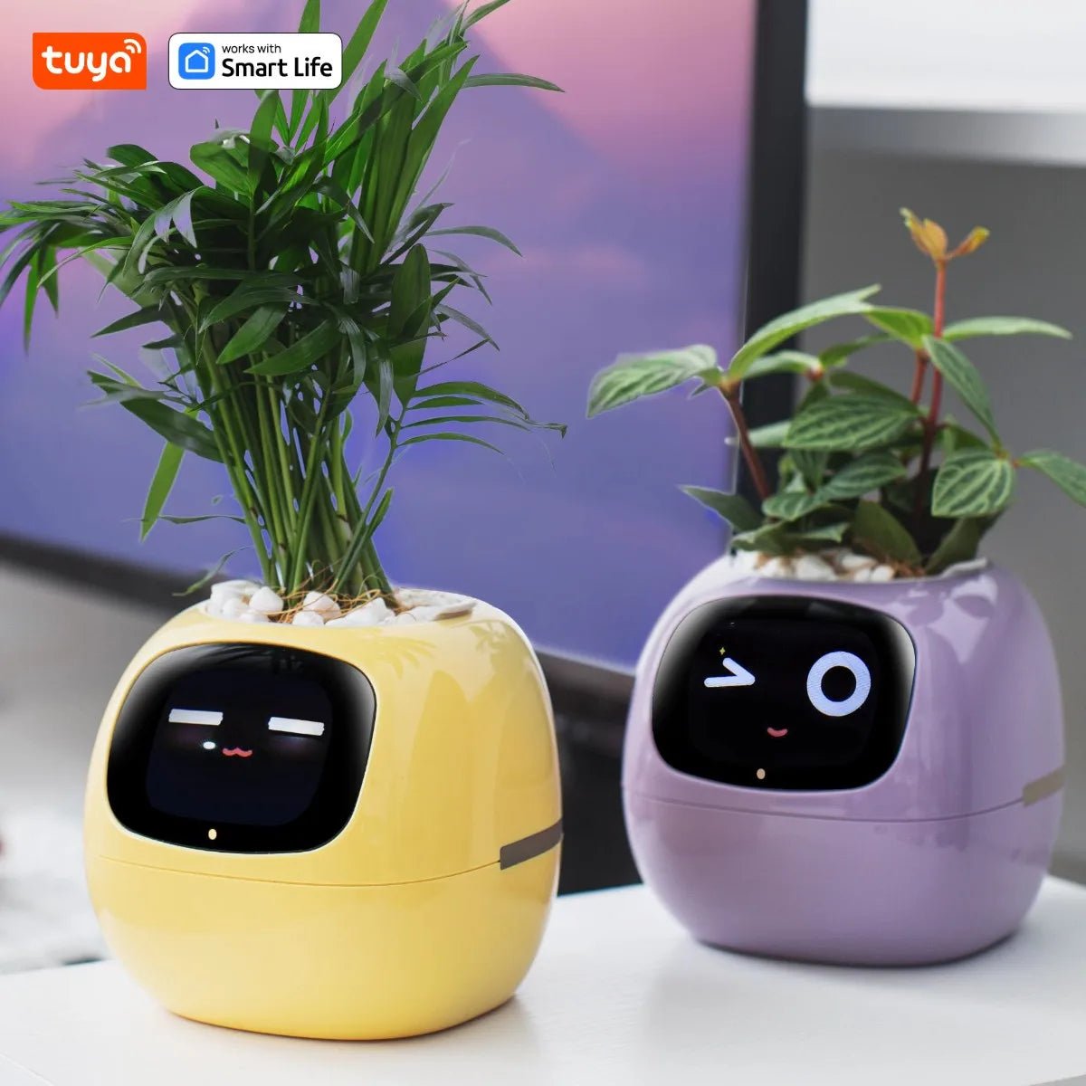 Tuya Ivy Smart Planter - AI - DEN Store