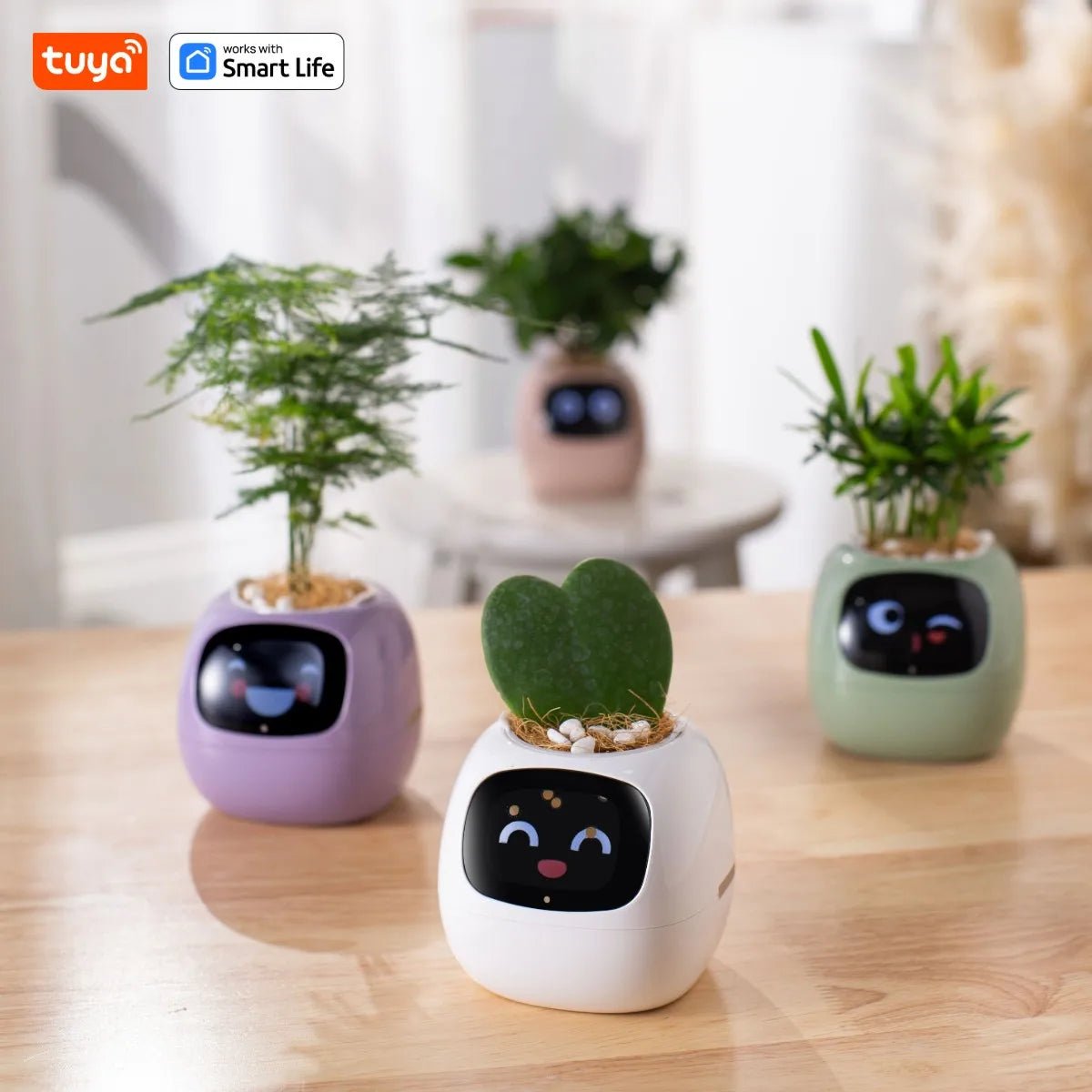 Tuya Ivy Smart Planter - AI - DEN Store