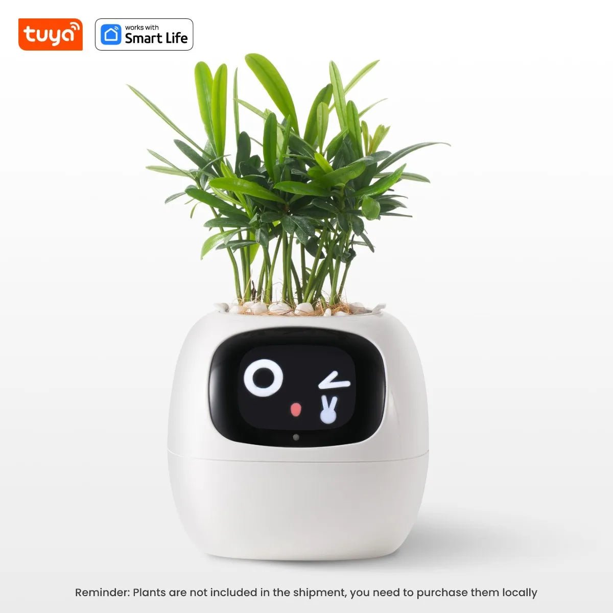 Tuya Ivy Smart Planter - AI - DEN Store