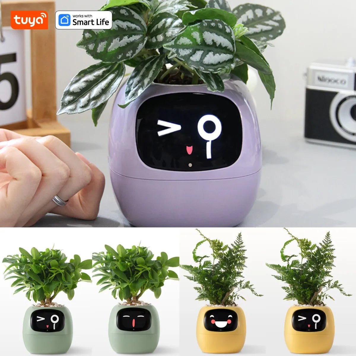Tuya Ivy Smart Planter - AI - DEN Store