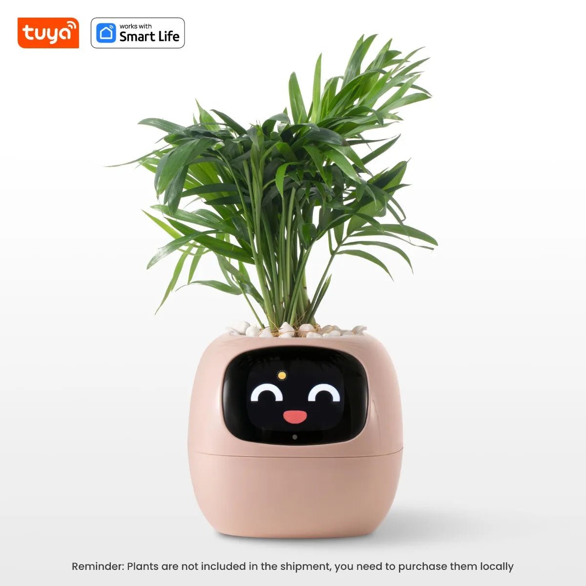 Tuya Ivy Smart Planter - AI - DEN Store