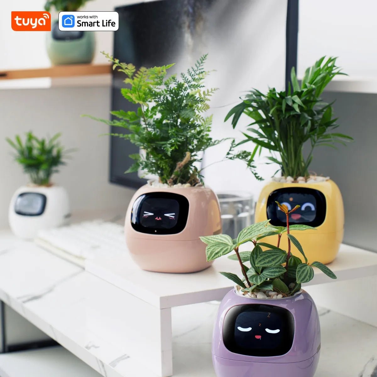 Tuya Ivy Smart Planter - AI - DEN Store