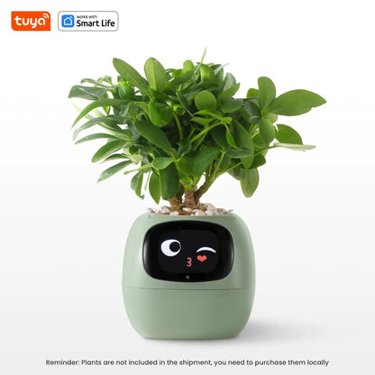 Tuya Ivy Smart Planter - AI - DEN Store