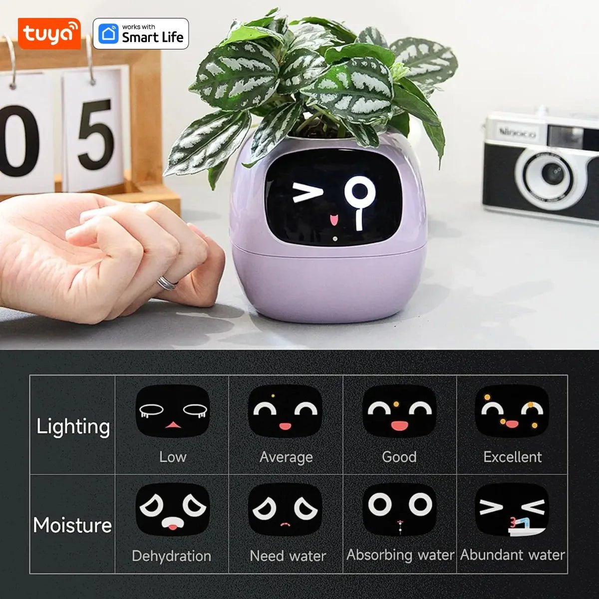Tuya Ivy Smart Planter - AI - DEN Store